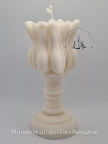 Bougies bougeoir tulipe