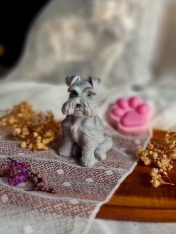 Bougie chien