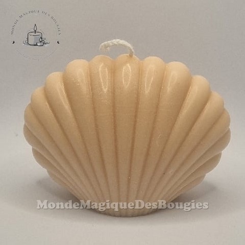 Bougies coquillages
