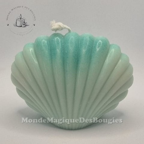 Bougies coquillages