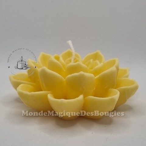 Bougies lotus