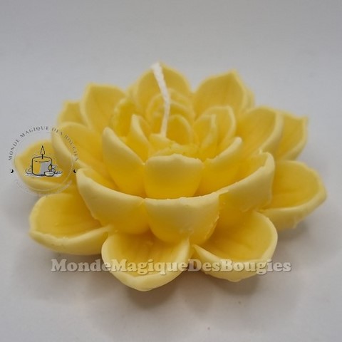 Bougies lotus