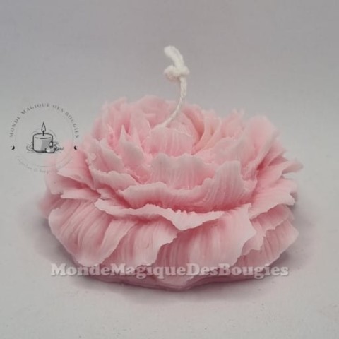 Bougies pivoine