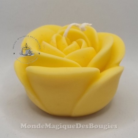 Bougies rose