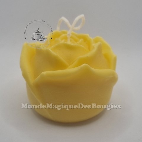 Bougies rose