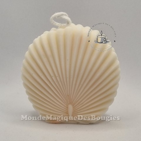Bougies coquillages saint jacques