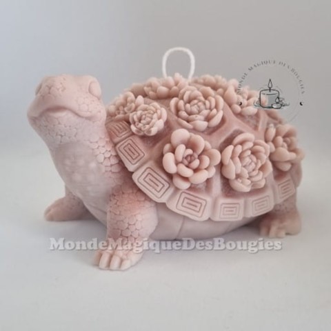 Bougies animaux tortue