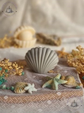 Bougies coquillages