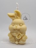Bougies animaux lapin